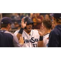 Everett AquaSox right fielder Ryan Garcia receives congratulations after his home run