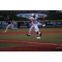 Lake Erie Crushers third baseman Dane Hutcheon