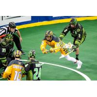 Jerome Thompson of the Georgia Swarm dives for a goal against the Saskatchewan Rush