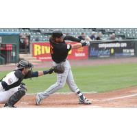 Taylor Ard Takes a Big Swing for the Long Island Ducks