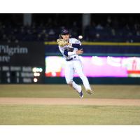 Bo Bichette of the New Hampshire Fisher Cats