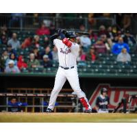 Vladimir Guerrero, Jr. of the New Hampshire Fisher Cats