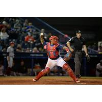 Reading Fightin Phils catcher Deivi Grullon