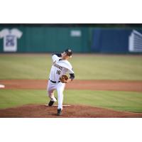 Charleston RiverDogs pitcher Janson Junk