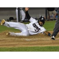 Somerset Patriots infielder Nate Coronado slides in