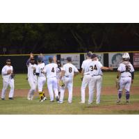 Vallejo Admirals celebrate a win