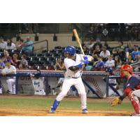 MJ Melendez at the plate for the Lexington Legends