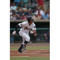 Wilkerman Garcia of the Charleston RiverDogs