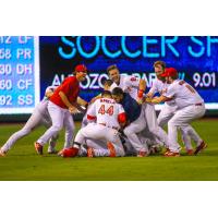 Memphis Redbirds pile up on the field after walk-off win, division clincher