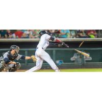 Kansas City T-Bones shatter a bat