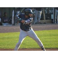 Nate Coronado batting for the Somerset Patriots