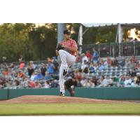 Charleston RiverDogs right-hander Alex Mauricio