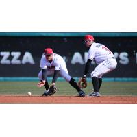 Shortstop Kevin Newman in the field for the Indianapolis Indians