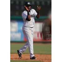 Welfrin Mateo of the Charleston RiverDogs