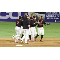 Jordany Valdespin and the Long Island Ducks celebrate a walk-off win