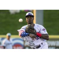 Lake Erie Crushers infielder Aaron Hill