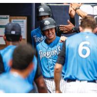 Diego Castillo of the Tampa Tarpons receives congratulations in the dugout