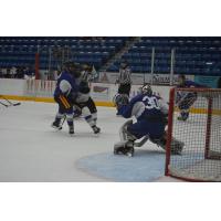 Sudbury Wolves Training Camp Action