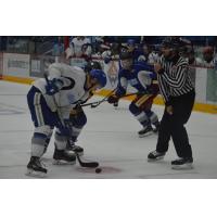 Sudbury Wolves Training Camp