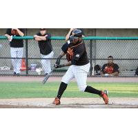 Jordany Valdespin of the Long Island Ducks connects with a pitch