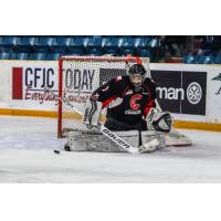 Prince George Cougars goaltender Tyler Brennan