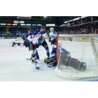 Kelowna Rockets crash the net in preseason opener