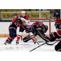 Saginaw Spirit in a preseason battle with the Moncton Wildcats