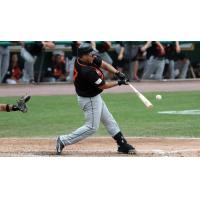 Dioner Navarro of the Long Island Ducks connects on a pitch