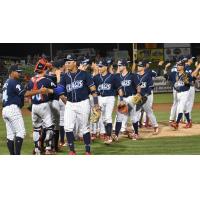 Lakewood BlueClaws congratulate each other on a win