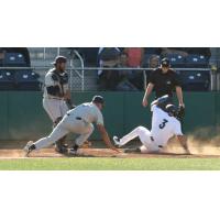 Everett AquaSox third baseman Bobby Honeyman slides home safely