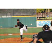 LHP Stephen Tarpley with the West Virginia Power