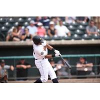 Dermis Garcia delivers a big blow for the Charleston RiverDogs