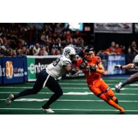 Albany Empire wide receiver Malachi Jones vs. the Baltimore Brigade