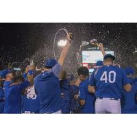 The Tulsa Drillers celebrate after clinching a playoff berth