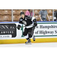 Gasper Kopitar of the Manchester Monarchs