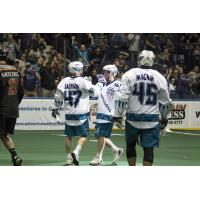 The Rochester Knighthawks celebrate a goal against New England