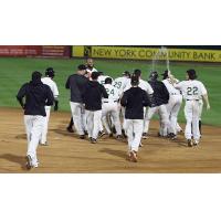 Long Island Ducks celebrate a waddle-off win