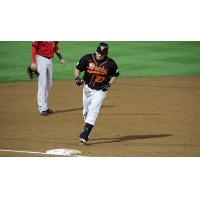 Dioner Navarro rounds the bases for the Long Island Ducks