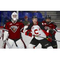 Vancouver Giants goaltender Braedy Euerby vs. the Prince George Cougars