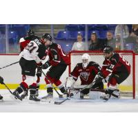 Vancouver Giants goaltender Braedy Euerby vs. the Prince George Cougars onslaught