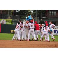 Memphis Redbirds celebrate a walk-off with to get to the PCL Championship Series