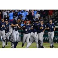 San Antonio Missions celebrate a Texas League Championship Series berth