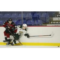 Vancouver Giants vs. the Everett Silvertips in preseason action