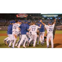 Tulsa Drillers celebrate a walk-off win