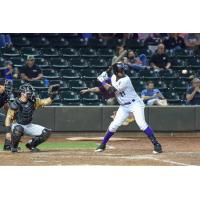 Winston-Salem Dash designated hitter Micker Adolfo