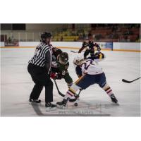 Niagara IceDogs battle the Barrie Colts in preseason action