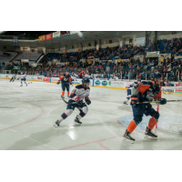 Saginaw Spirit vs. the Flint Firebirds