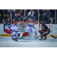 Niagara IceDogs vs. the Kitchener Rangers in Preseason Action