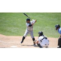 Ramon Cabrera batting for the Long Island Ducks