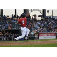 New Hampshire Fisher Cats catcher Patrick Cantwell